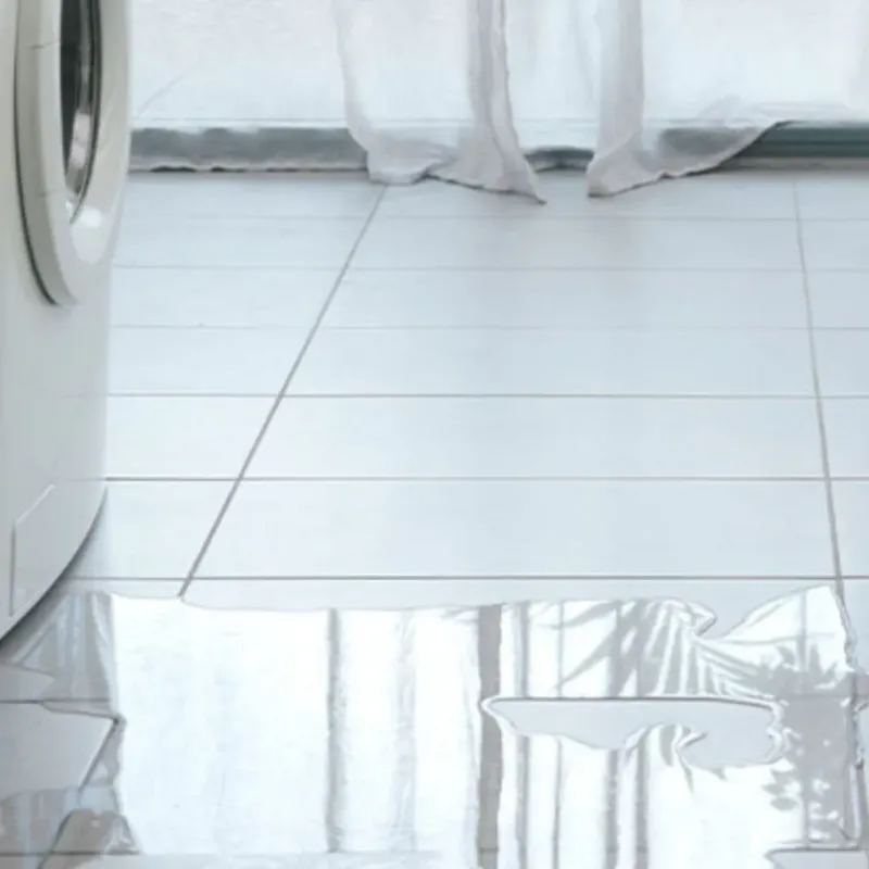 Appliance Leak Cleanup in Livingston County, KY