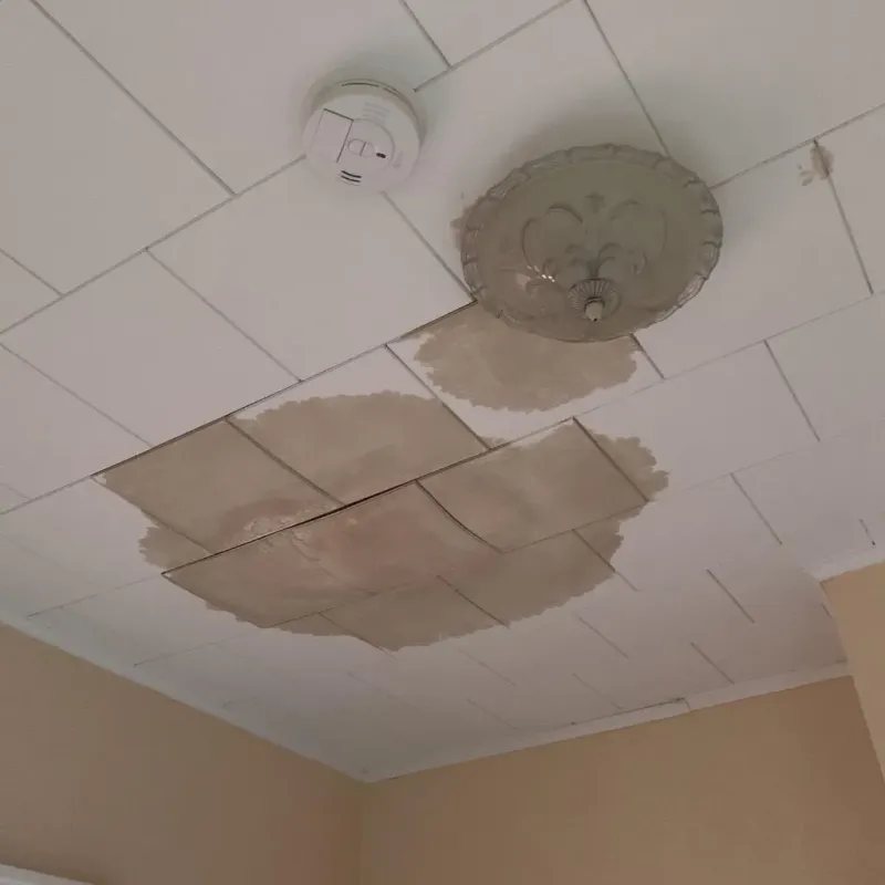 Ceiling Water Damage Repair in Livingston County, KY