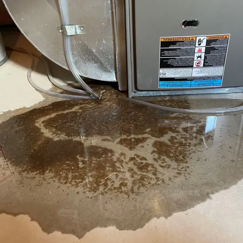 Pipe Burst and Leak Restoration in Livingston County, KY