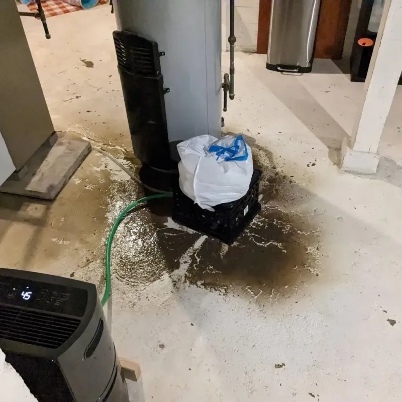 Sewage Backup Cleanup Service in Livingston County, KY